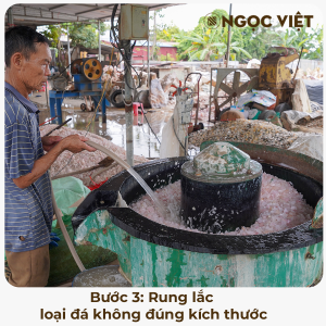 rung-lac-loai-tap-chat-da-thach-anh-vun-ngu-sac